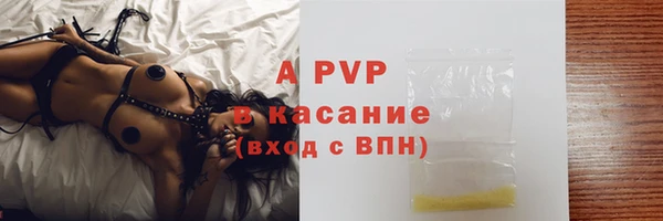ПСИЛОЦИБИНОВЫЕ ГРИБЫ Дмитровск