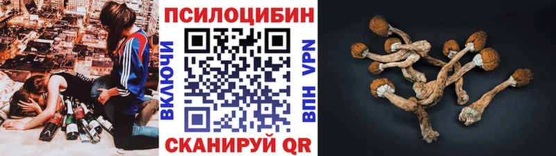 Галлюциногенные грибы прущие грибы  Купить закладки  Иноземцево 